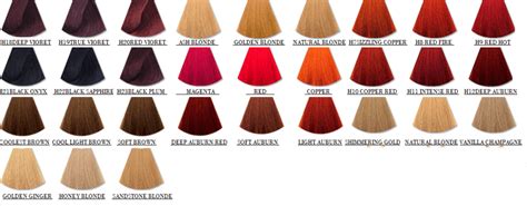 hicolor hair dye|l'oreal excellence hicolor color chart.